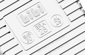 BIBI_01